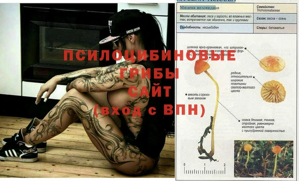 spice Верея