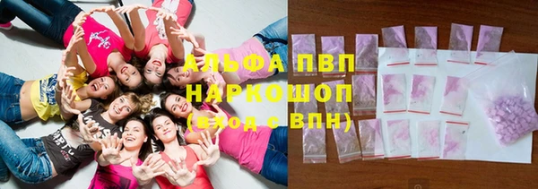 spice Верея