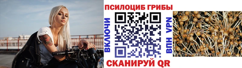 Галлюциногенные грибы MAGIC MUSHROOMS Чекалин